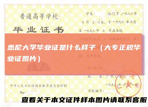 悉尼大学毕业证是什么样子（大专正规毕业证图片）