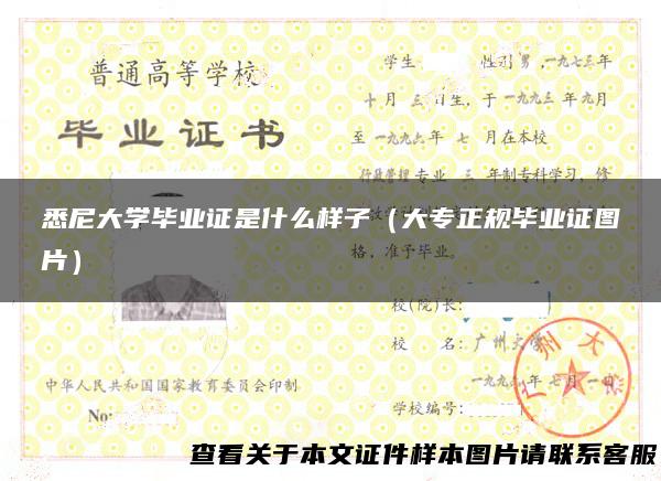 悉尼大学毕业证是什么样子（大专正规毕业证图片）