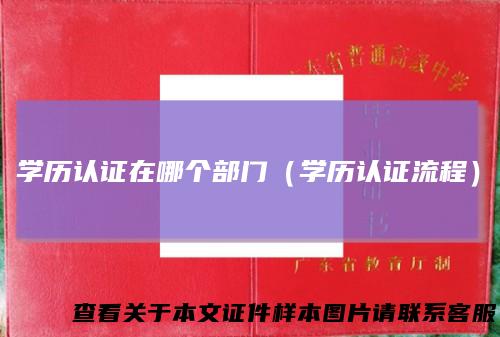学历认证在哪个部门（学历认证流程）