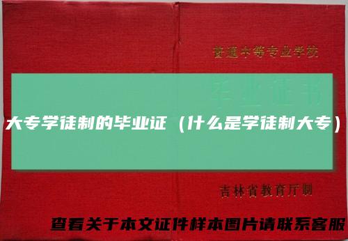大专学徒制的毕业证（什么是学徒制大专）