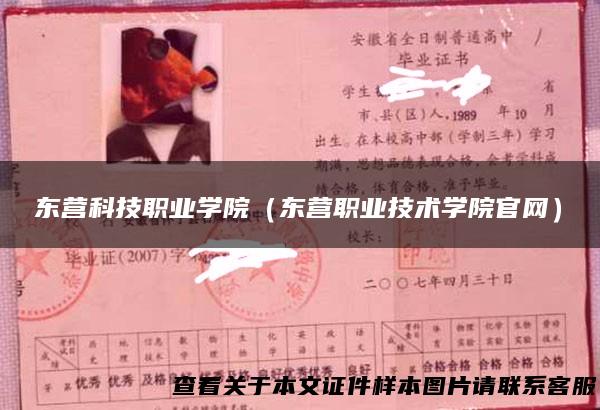 东营科技职业学院（东营职业技术学院官网）