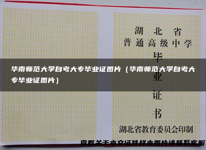 华南师范大学自考大专毕业证图片（华南师范大学自考大专毕业证图片）