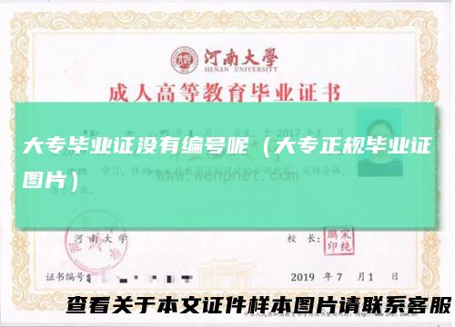 大专毕业证没有编号呢（大专正规毕业证图片）