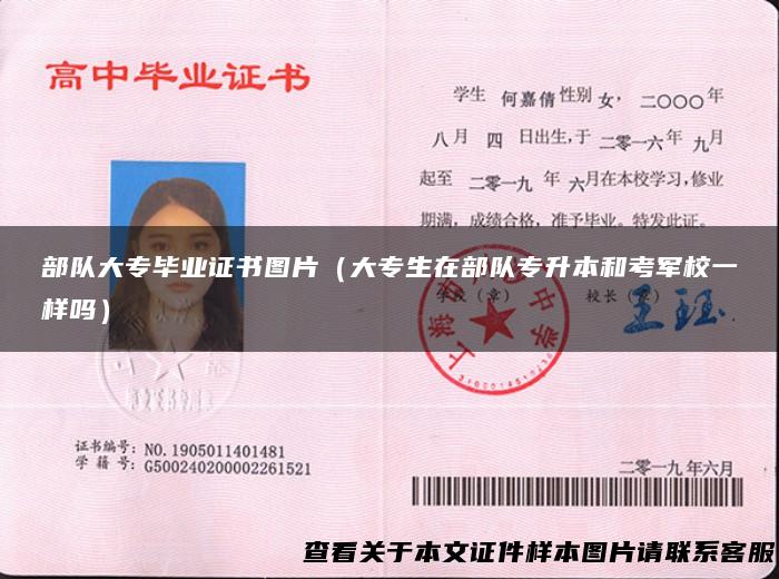 部队大专毕业证书图片（大专生在部队专升本和考军校一样吗）