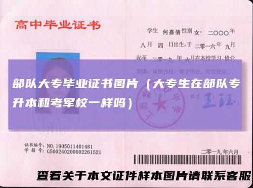 部队大专毕业证书图片（大专生在部队专升本和考军校一样吗）