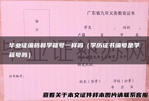 毕业证编码和学籍号一样吗（学历证书编号是学籍号吗）