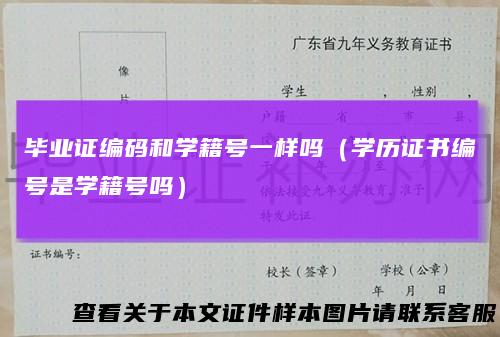 毕业证编码和学籍号一样吗（学历证书编号是学籍号吗）