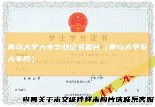 青岛大学大专毕业证书图片（青岛大学有大专吗）
