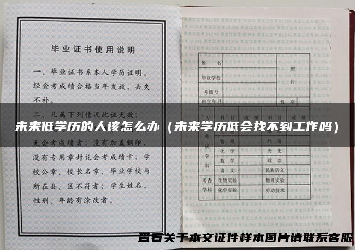 未来低学历的人该怎么办（未来学历低会找不到工作吗）