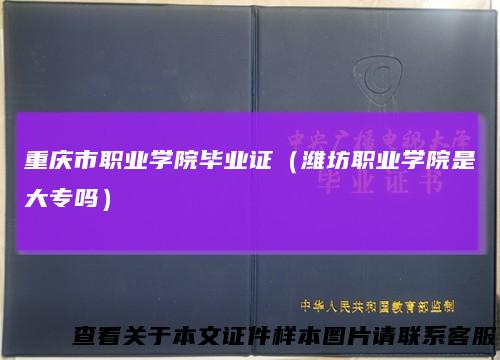 重庆市职业学院毕业证（潍坊职业学院是大专吗）