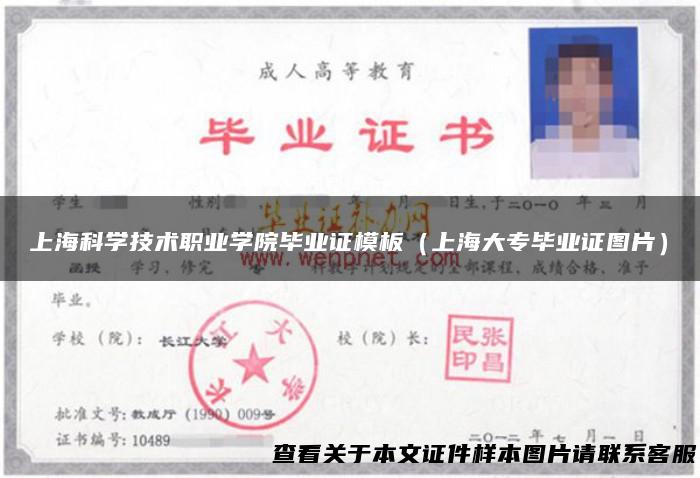 上海科学技术职业学院毕业证模板（上海大专毕业证图片）