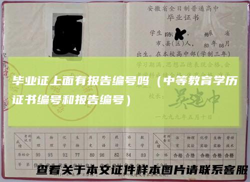 毕业证上面有报告编号吗（中等教育学历证书编号和报告编号）