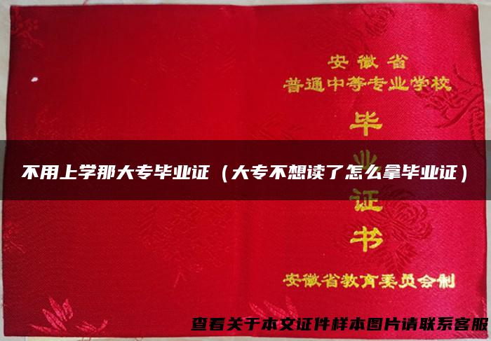 不用上学那大专毕业证（大专不想读了怎么拿毕业证）