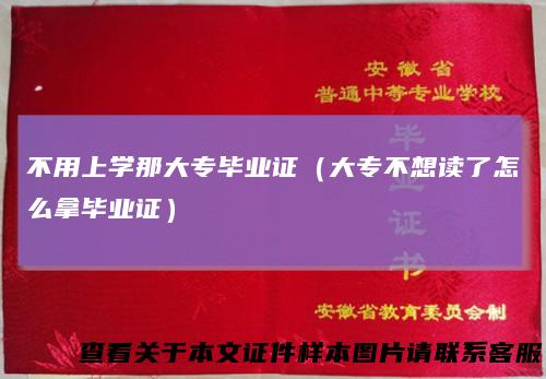 不用上学那大专毕业证(大专不想读了怎么拿毕业证)
