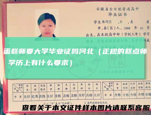 蛋糕师要大学毕业证吗河北(正规的糕点师学历上有什么要求)