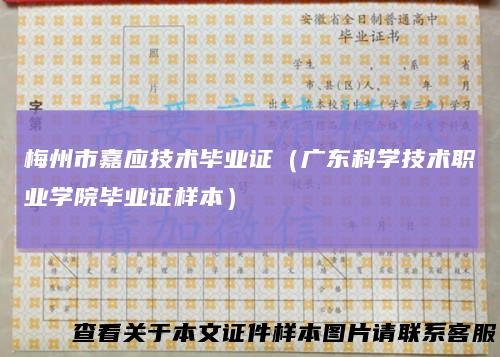 梅州市嘉应技术毕业证(广东科学技术职业学院毕业证样本)