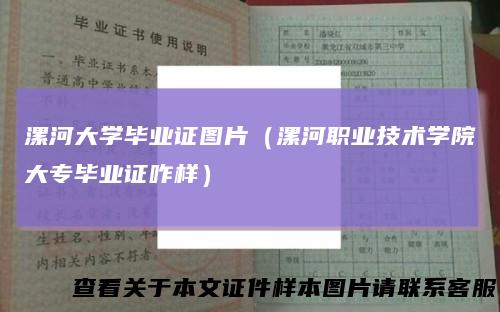 漯河大学毕业证图片(漯河职业技术学院大专毕业证咋样)