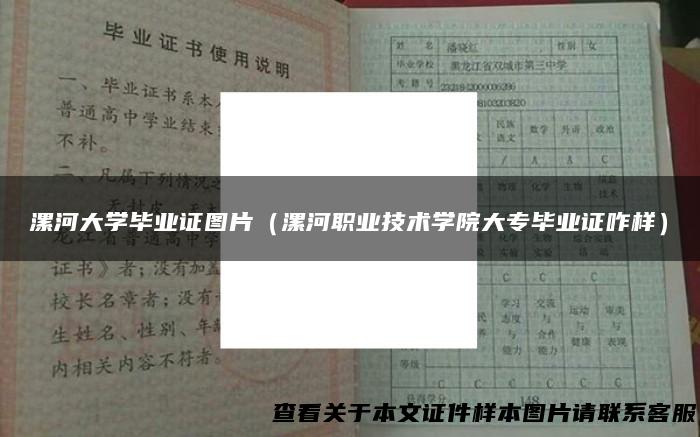 漯河大学毕业证图片（漯河职业技术学院大专毕业证咋样）