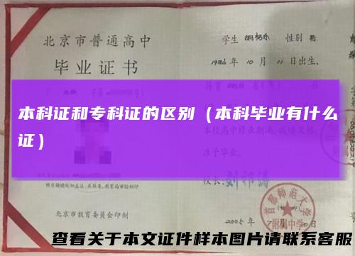 本科证和专科证的区别（本科毕业有什么证）