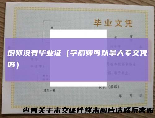厨师没有毕业证（学厨师可以拿大专文凭吗）