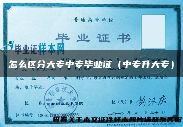 怎么区分大专中专毕业证（中专升大专）