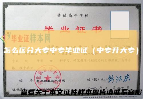 怎么区分大专中专毕业证（中专升大专）