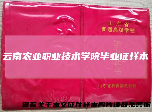 云南农业职业技术学院毕业证样本