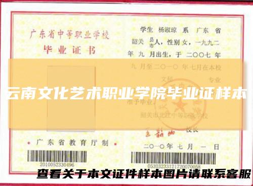 云南文化艺术职业学院毕业证样本