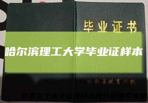 哈尔滨理工大学毕业证样本