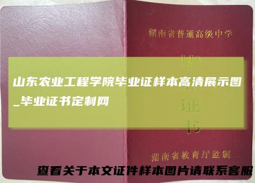 山东农业工程学院毕业证样本高清展示图_毕业证书定制网