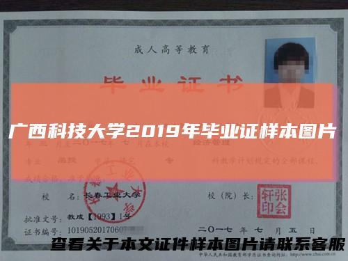 广西科技大学2019年毕业证样本图片