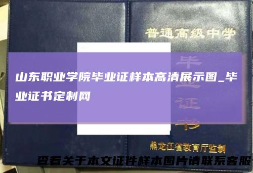 山东职业学院毕业证样本高清展示图_毕业证书定制网