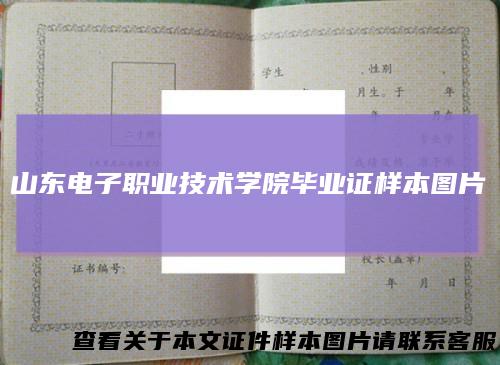 山东电子职业技术学院毕业证样本图片