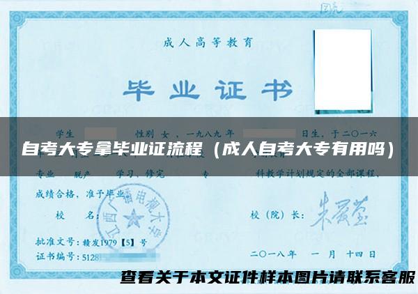 自考大专拿毕业证流程（成人自考大专有用吗）