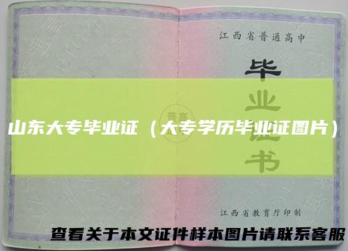 山东大专毕业证(大专学历毕业证图片)