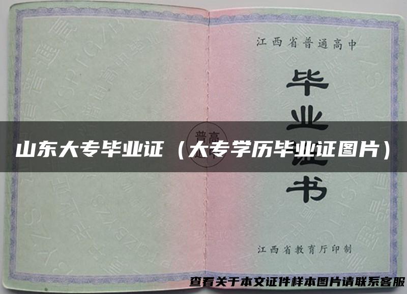 山东大专毕业证（大专学历毕业证图片）