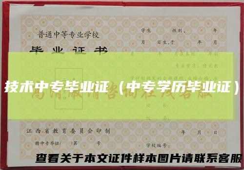 技术中专毕业证(中专学历毕业证)