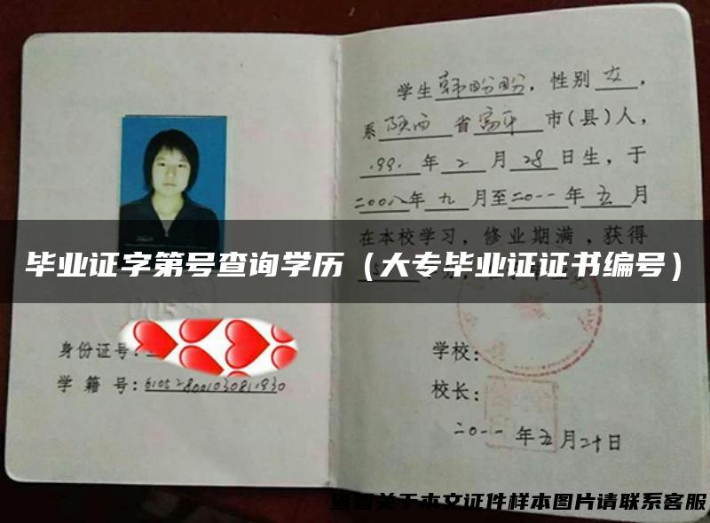 毕业证字第号查询学历（大专毕业证证书编号）