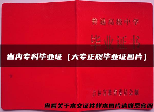 省内专科毕业证（大专正规毕业证图片）