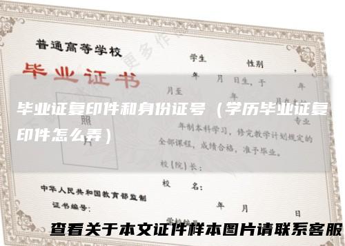 毕业证复印件和身份证号（学历毕业证复印件怎么弄）