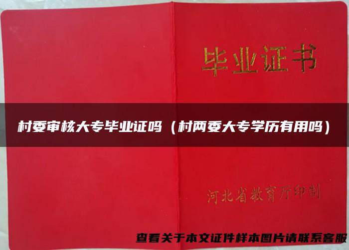 村委审核大专毕业证吗（村两委大专学历有用吗）