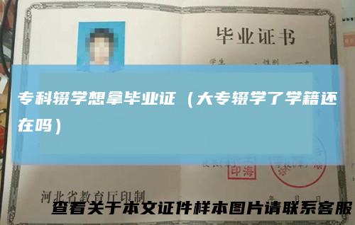 专科辍学想拿毕业证（大专辍学了学籍还在吗）