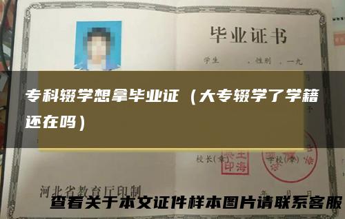 专科辍学想拿毕业证（大专辍学了学籍还在吗）