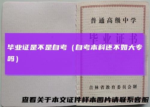 毕业证是不是自考(自考本科还不如大专吗)
