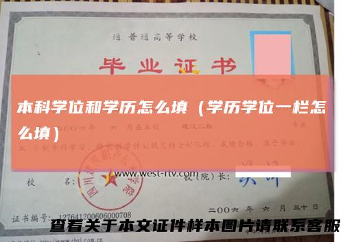 本科学位和学历怎么填（学历学位一栏怎么填）