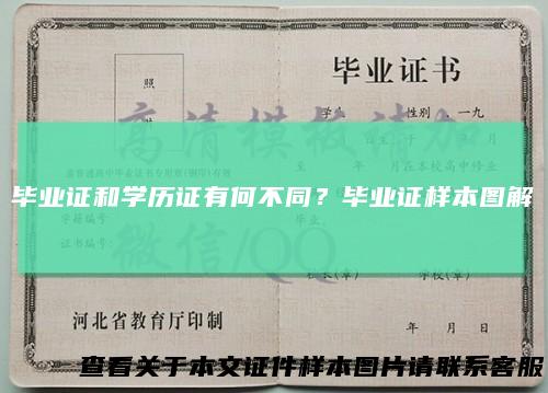 毕业证和学历证有何不同？毕业证样本图解
