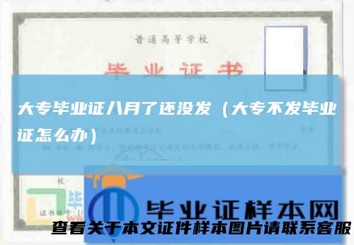 大专毕业证八月了还没发(大专不发毕业证怎么办)
