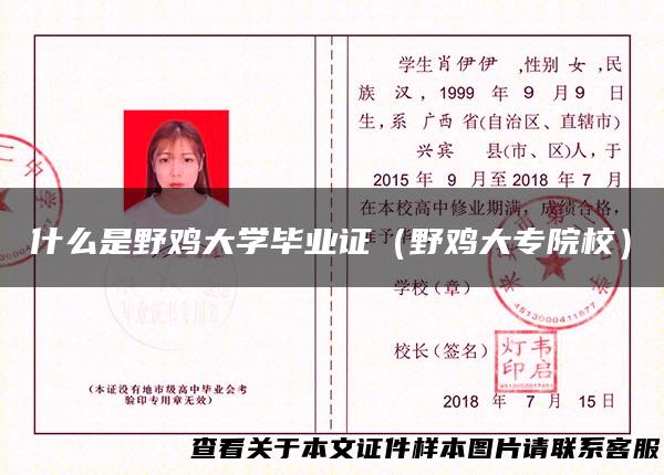 什么是野鸡大学毕业证（野鸡大专院校）