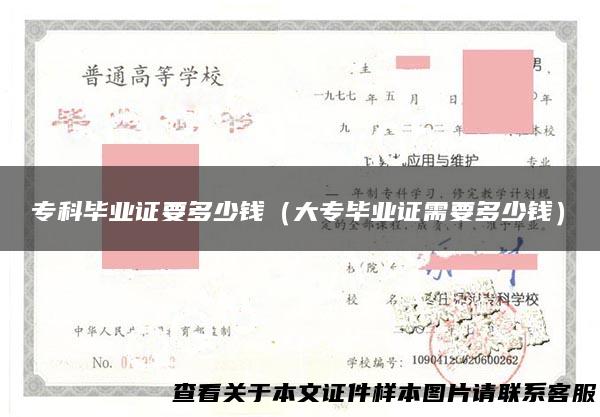 专科毕业证要多少钱（大专毕业证需要多少钱）