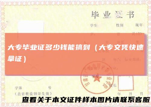 大专毕业证多少钱能搞到（大专文凭快速拿证）